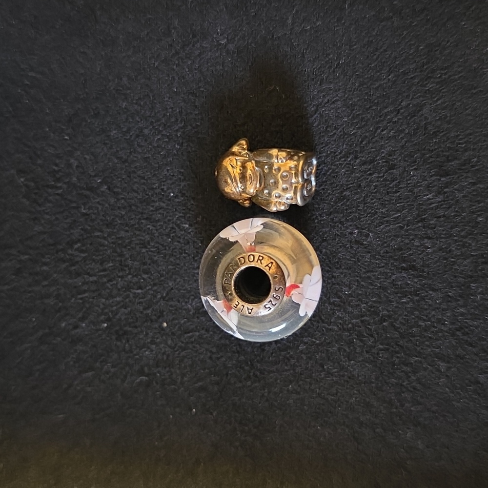 Pandora Silver and Gold Charm Set